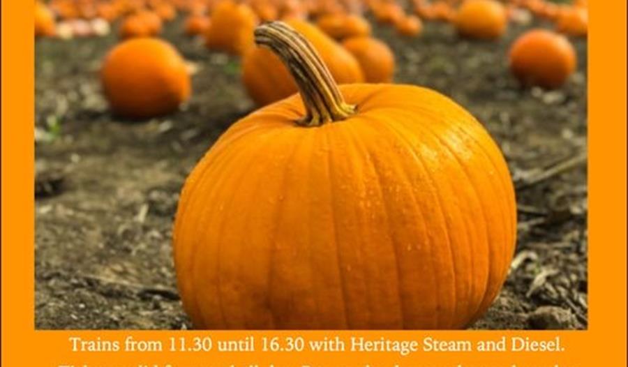 Pumpkin Sunday