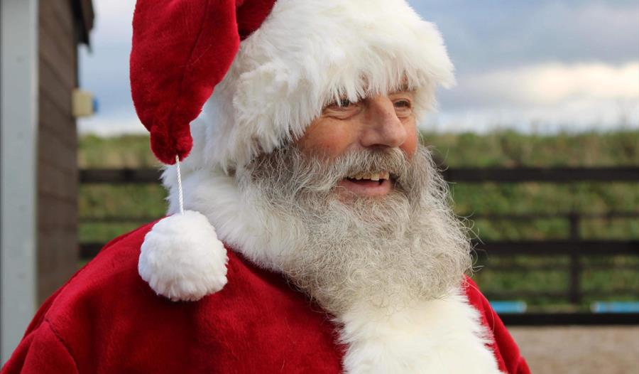 Santa at Lowlands Farm Alpacas