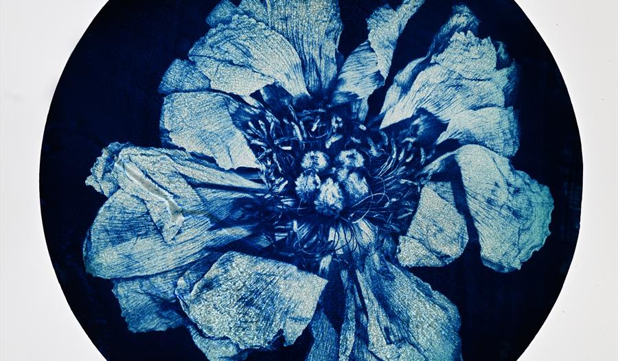 Blue Screen Exhibition