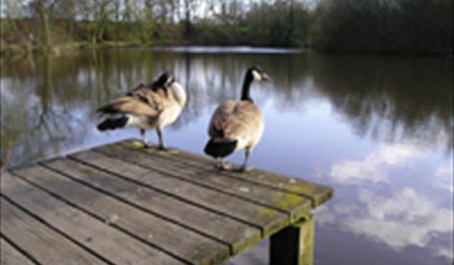 Abbey Lakes