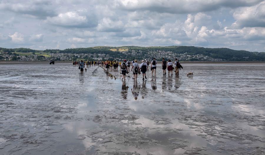 Cross Bay Walk for Hearing Dogs