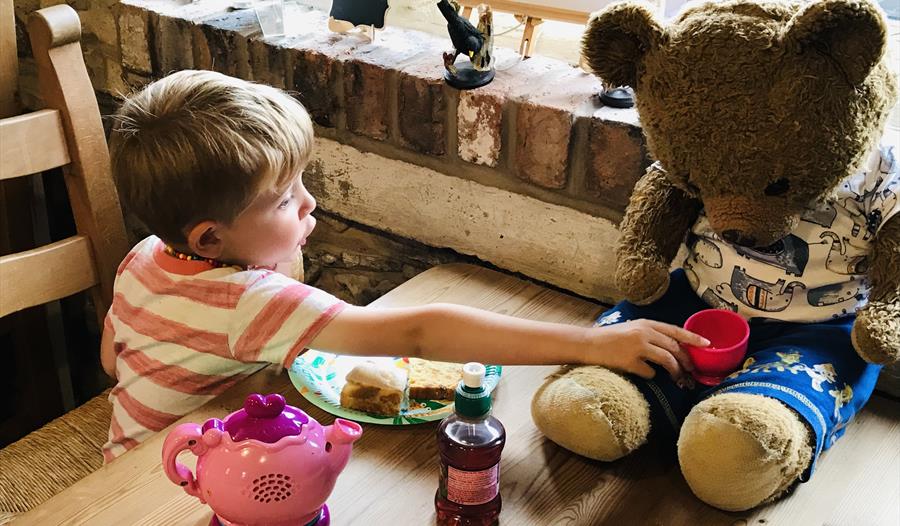 Teddy Bear Thursdays