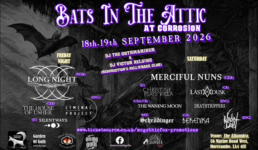 Bats in the Attic 2026