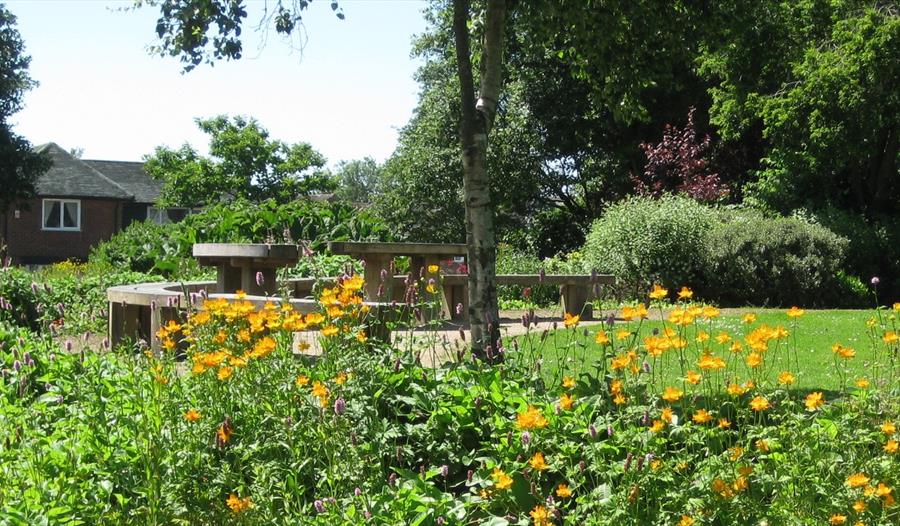 Jean Stansfield Park with benches and yellow flowers