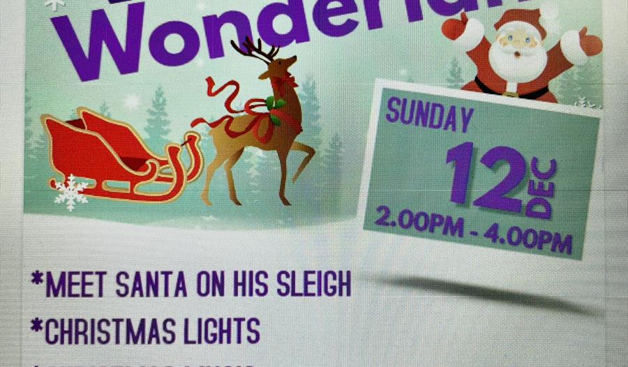 Santa on a Sleigh