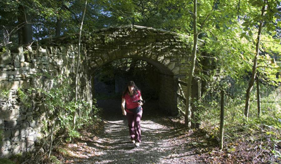 Walking with the Forest of Burnley