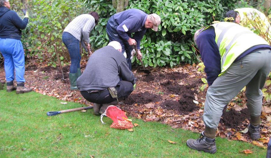 Volunteer Days