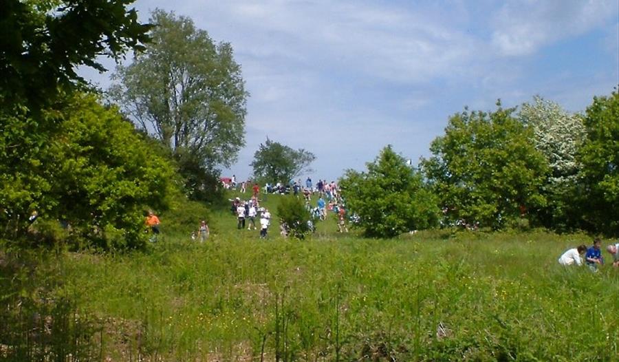 Beacon Country Park, Upholland