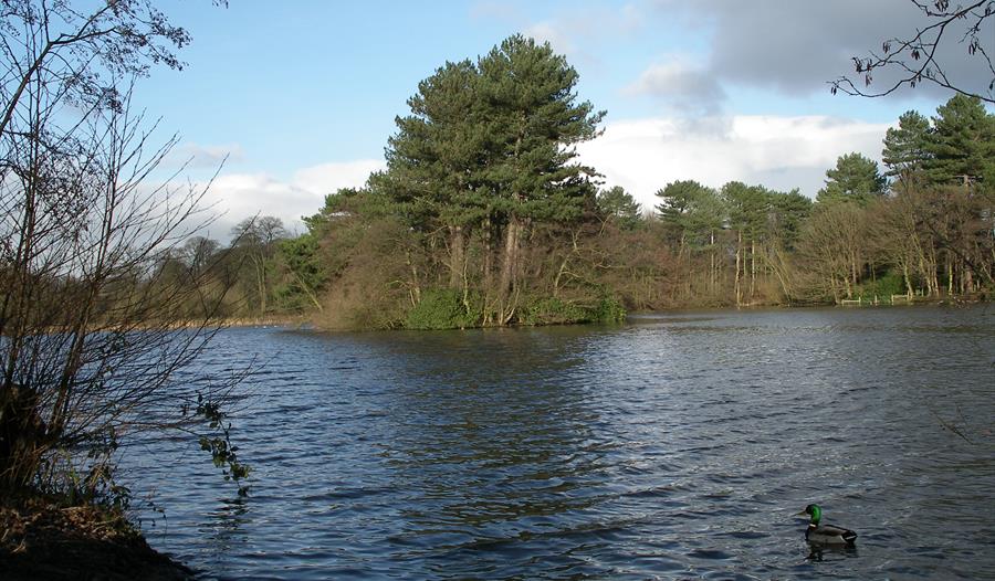 Cuerden Valley Park