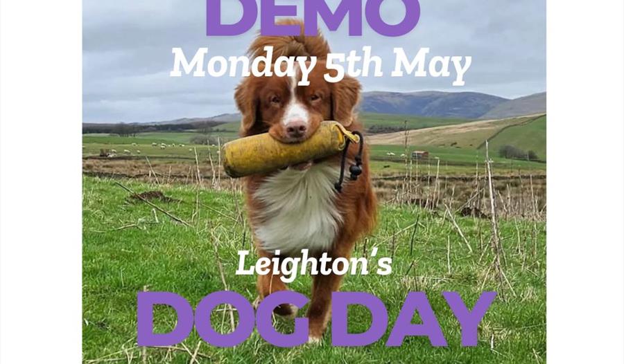 Dog Day at Leighton Hall