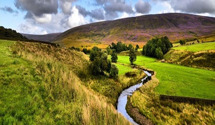 Festival Bowland 2019 - Sabden Guided Walk