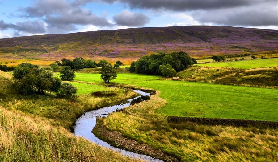 Discover Bowland 2019 cover image