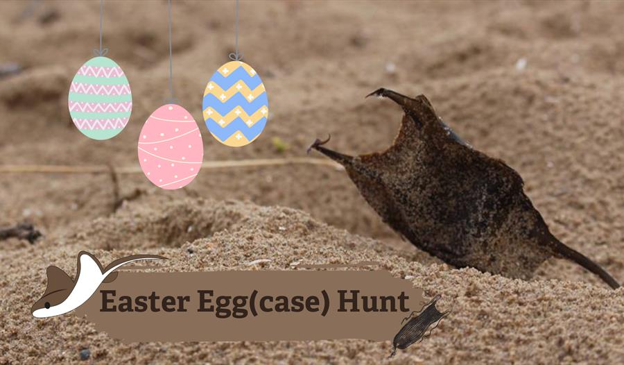 Easter Egg(case) Hunt