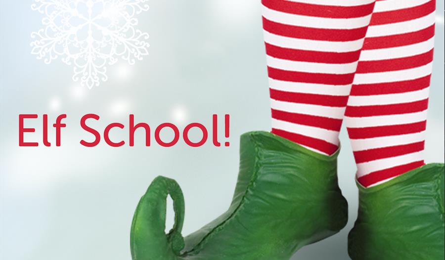 Elf School