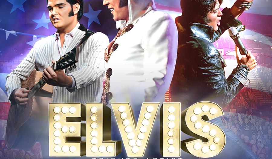 The Elvis Tribute Artist World Tour