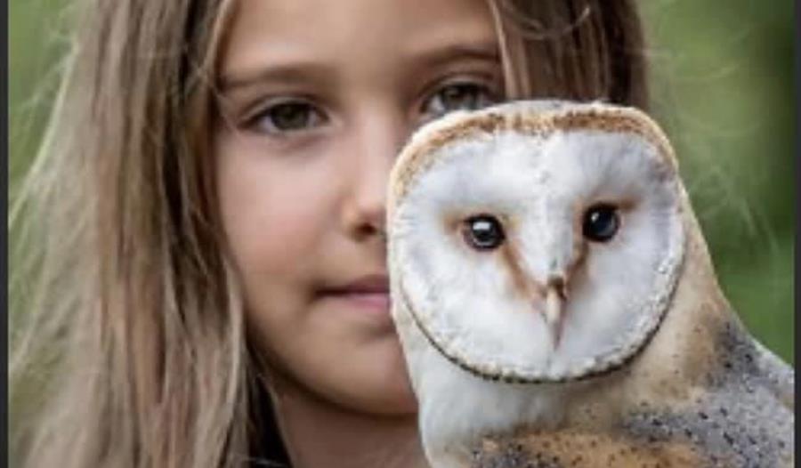 Turbary Woods Owl and Bird of Prey Sanctuary