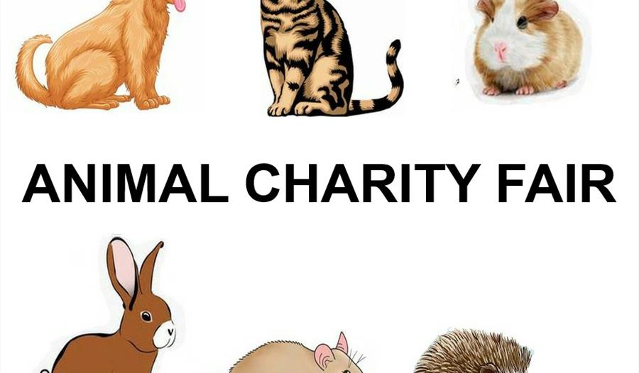 Animal Charity Fair