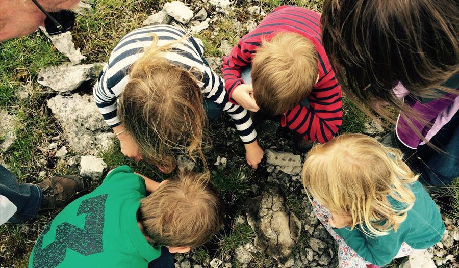 Jenny Brown's Point Family Exploration