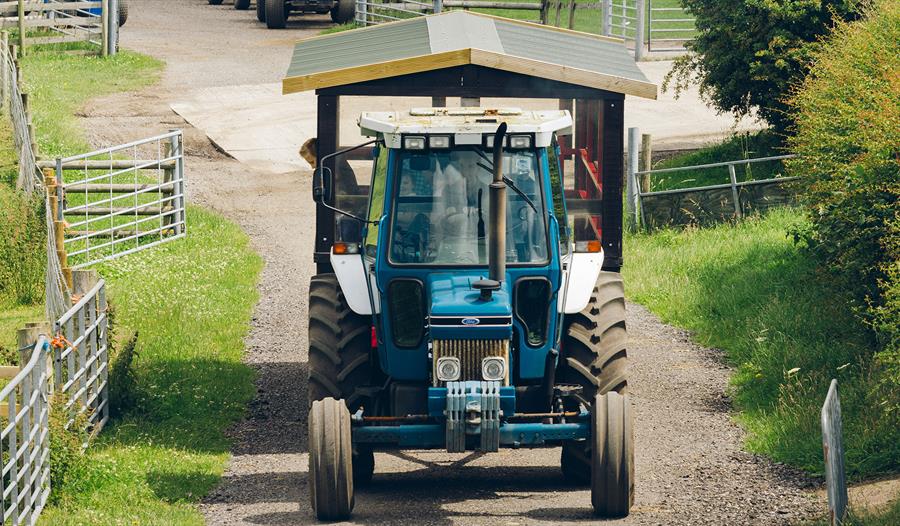 Farmer Ted's Farm Park