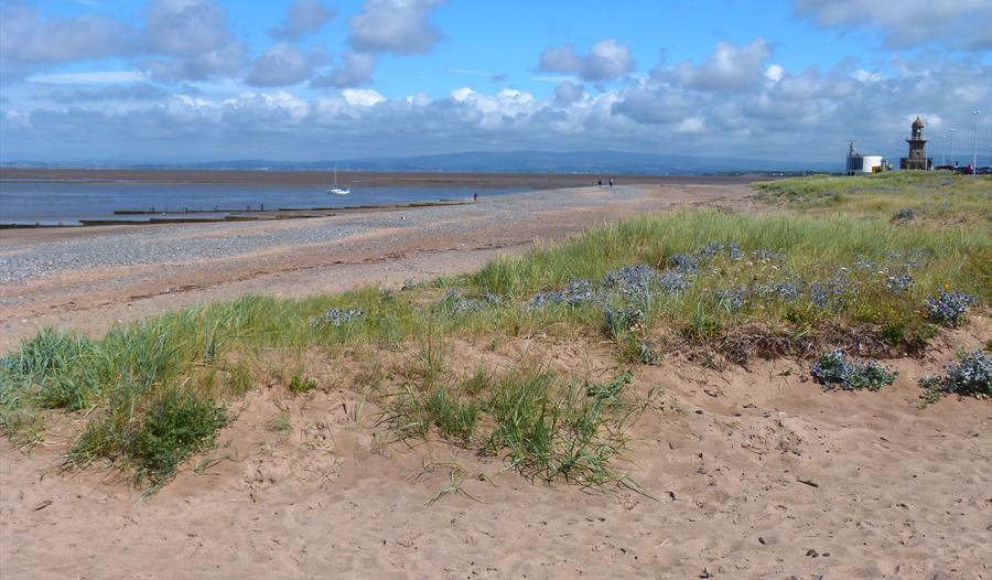 Fleetwood Beach Care
