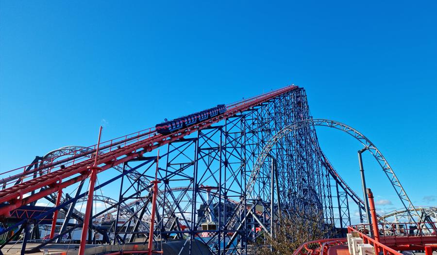 Walk The Big One XL
