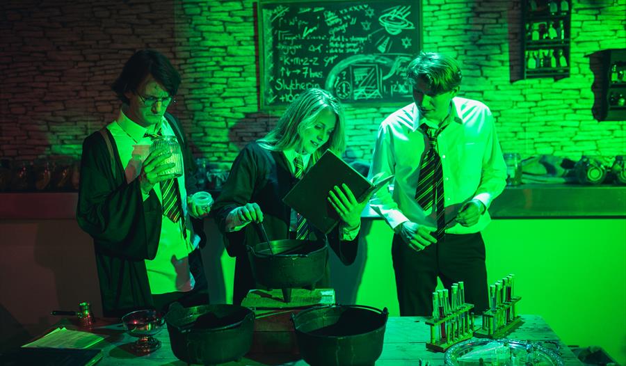 The Witches and Wizards School of Excellence