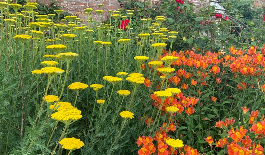 BBC R4 Gardeners Question Time