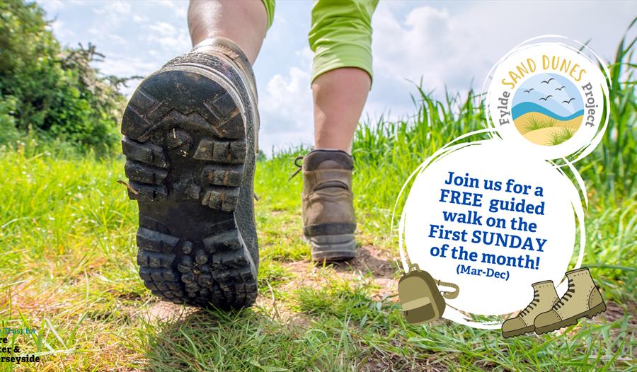 Fylde Sand Dunes Guided Walk