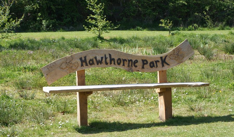 Music on the Park