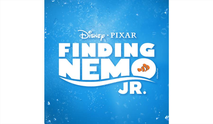 Finding Nemo Jnr (Stage Door Youth Theatre musical)