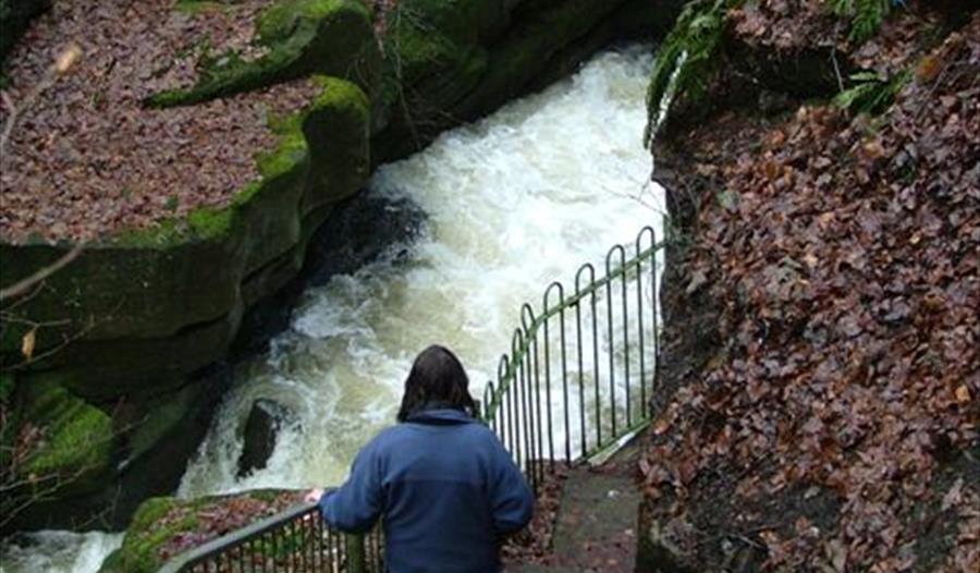 Healey Dell - Chapel