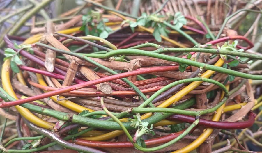 Creative Easter at Heysham Nature Reserve