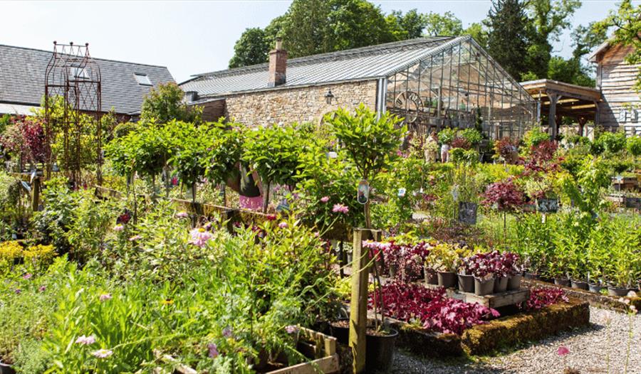 Artisan Market at Holden Clough