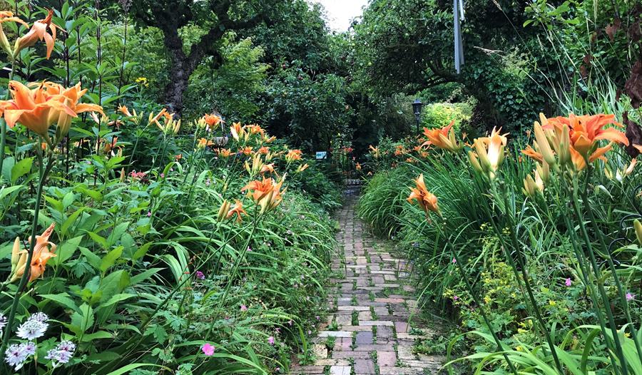 Orchard Tea Garden at The Ridges