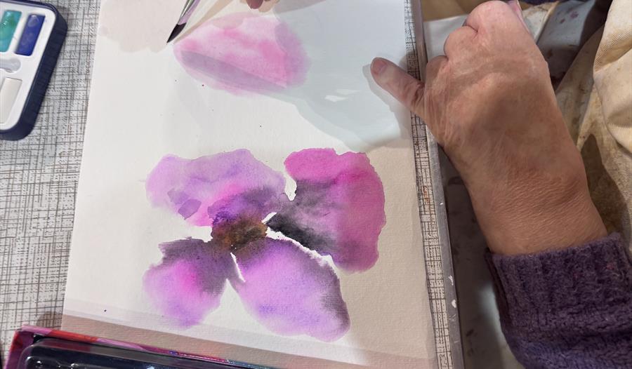 Beginners Drawing and Watercolours Summer Flowers Workshop