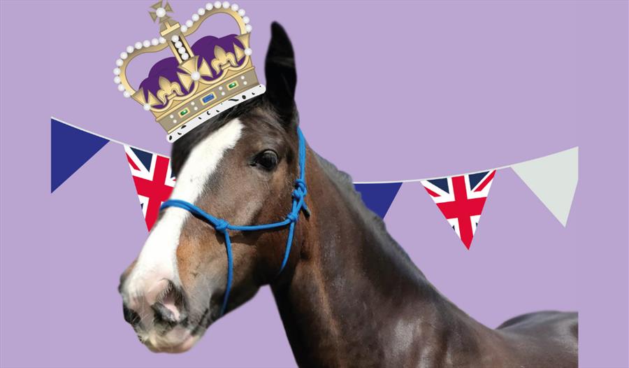 Jubilee Half-Term at HAPPA