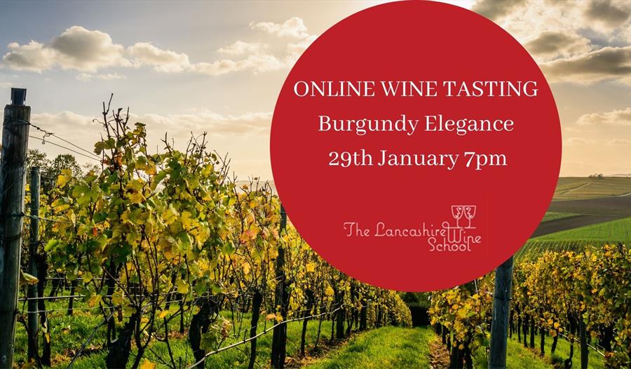 Previous Next Burgundy Elegance (ONLINE) Burgundy Elegance (ONLINE Wine Tasting)