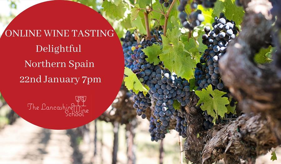 Delightful Northern Spain (ONLINE Wine Tasting)