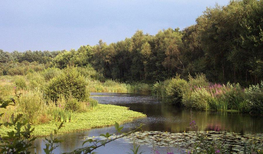 Talk Lancashires Wild Place at Mere Sands Wood