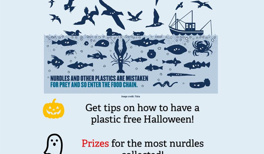 The Great Nurdle Hunt 2021: The Horrors of Plastic