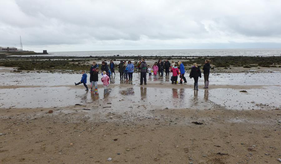 Beach Nature Tots