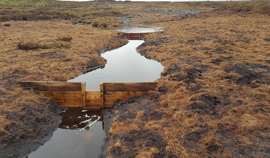Wooden peat dam on Abbeystead_Forest of Bowland AONB