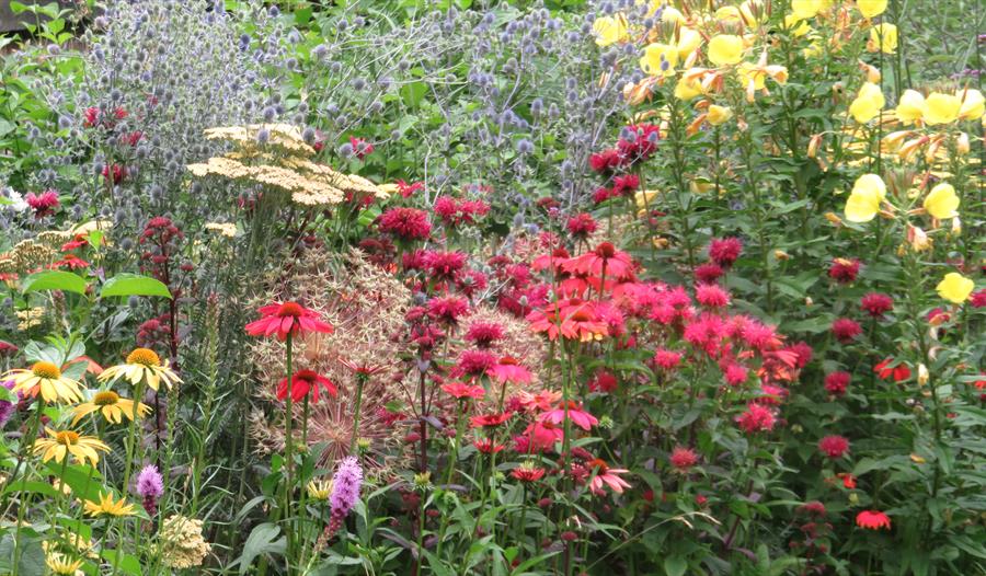 Gander around the Gardens with the Garden