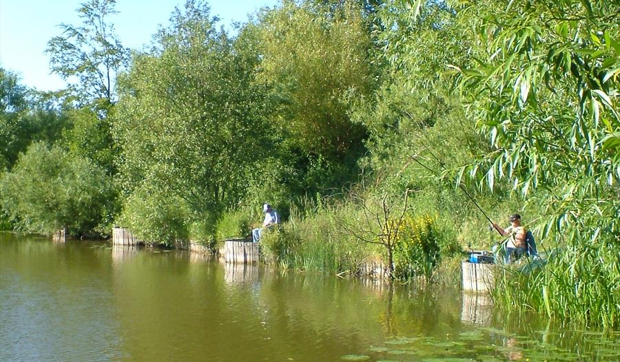 Platts Lane Lake