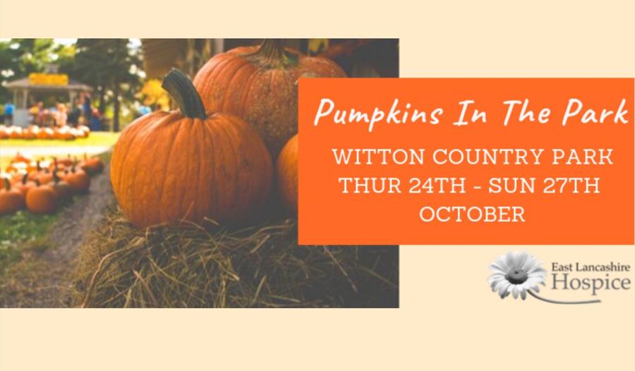 Pumpkins in the Park