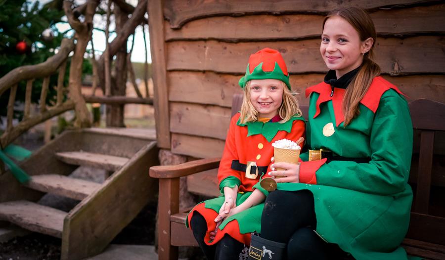 Cartoon couple in a festive scene on the farm with animals in Christmas hats