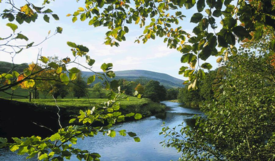 Ribble Catchment Conservation Trust