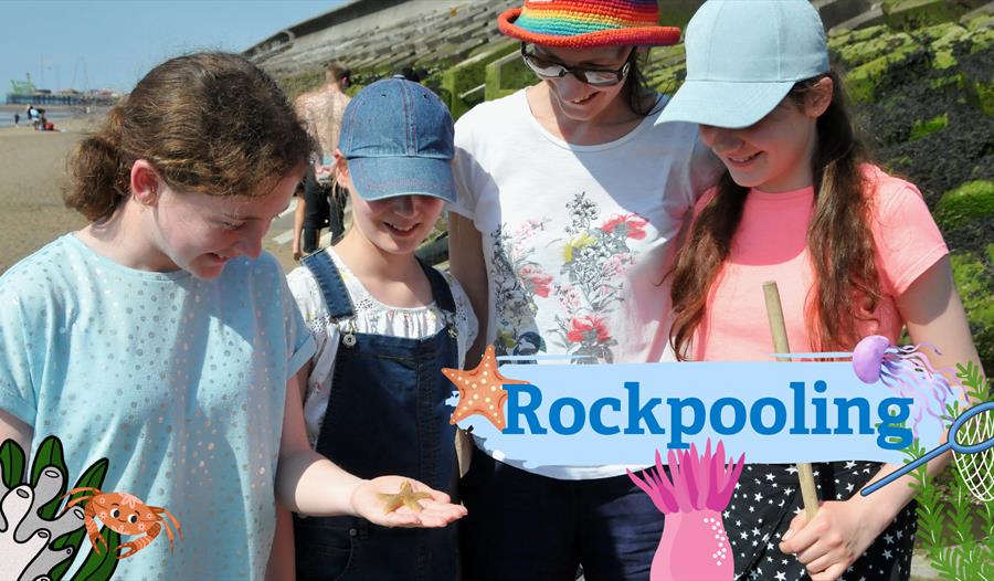 Rockpool Ramble