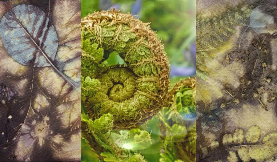 Inside Out: Eco Printing & Mindfulness