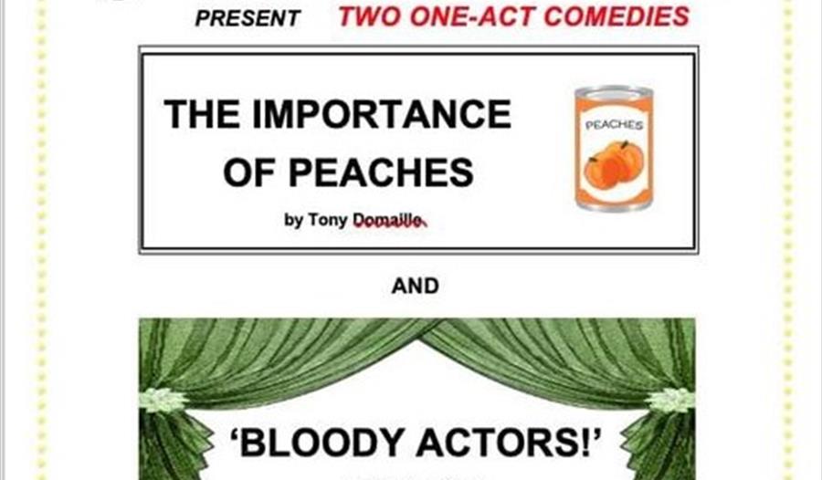 Silverdale Village Players Spring Production